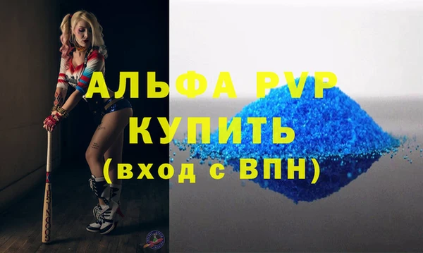 индика Богородск