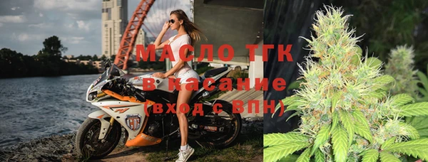 индика Богородск