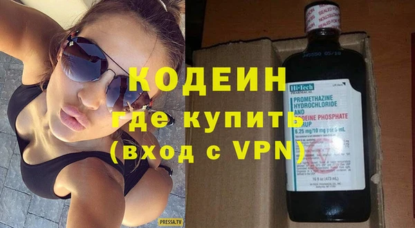 индика Богородск