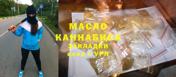 индика Богородск