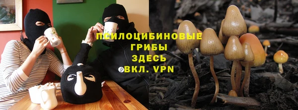 MESCALINE Няндома
