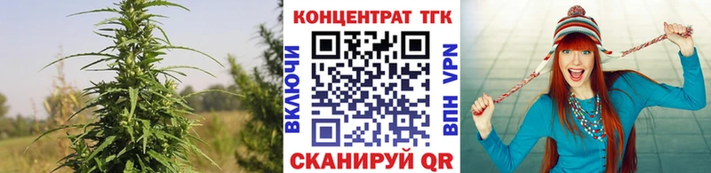 как найти закладки  Велиж  ТГК гашишное масло 
